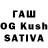Галлюциногенные грибы Magic Shrooms Samat Kazbekuly