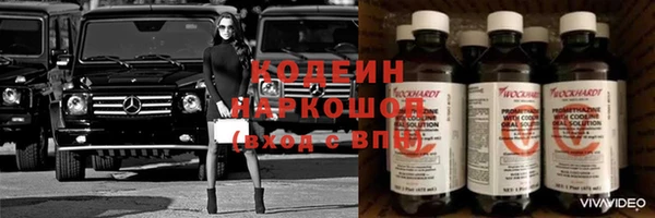 гашик Алзамай