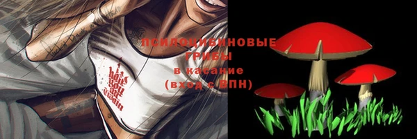 герыч Алексин