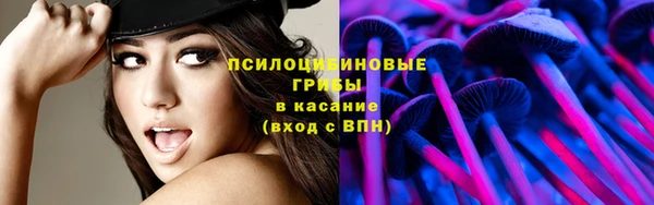 гашик Алзамай