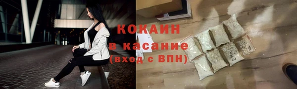 гашик Алзамай