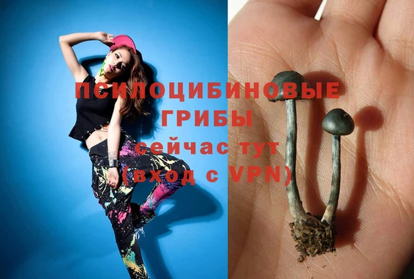 герыч Алексин