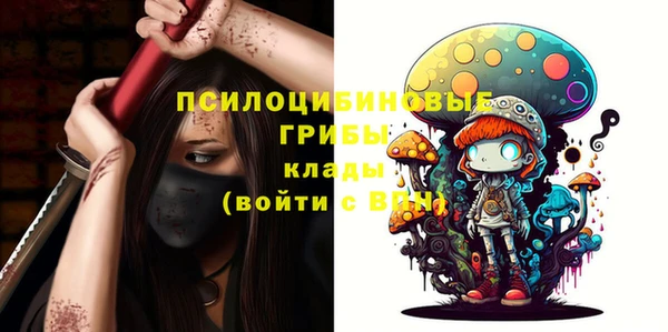 герыч Алексин